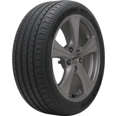 Neumático 205/50R17 Maxxis M36+ 93W XL