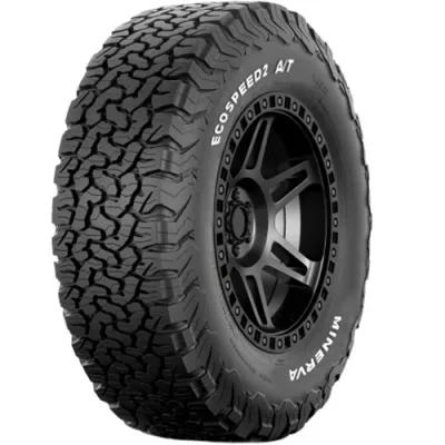 Neumático 255/50R19 Minerva Ecospeed2 107W XL